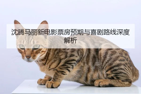 沈腾马丽新电影票房预期与喜剧路线深度解析