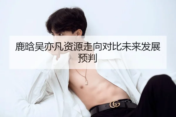 鹿晗吴亦凡资源走向对比未来发展预判